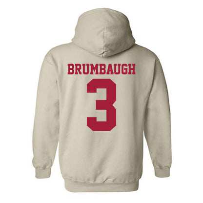 Oklahoma - NCAA Baseball : Cayden Brumbaugh - Fashion Shersey Hooded Sweatshirt-1