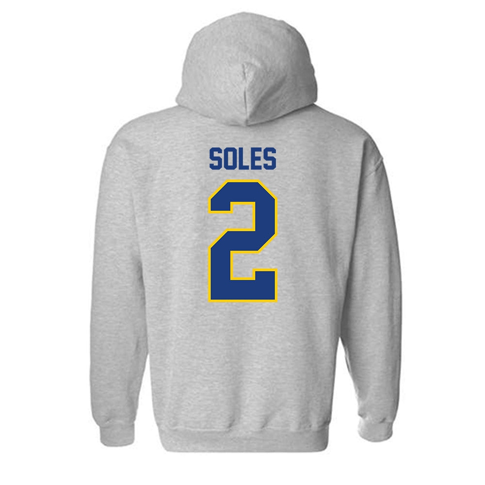 McNeese State - NCAA Women's Volleyball : Harmony Soles - Classic Shersey Hooded Sweatshirt-1