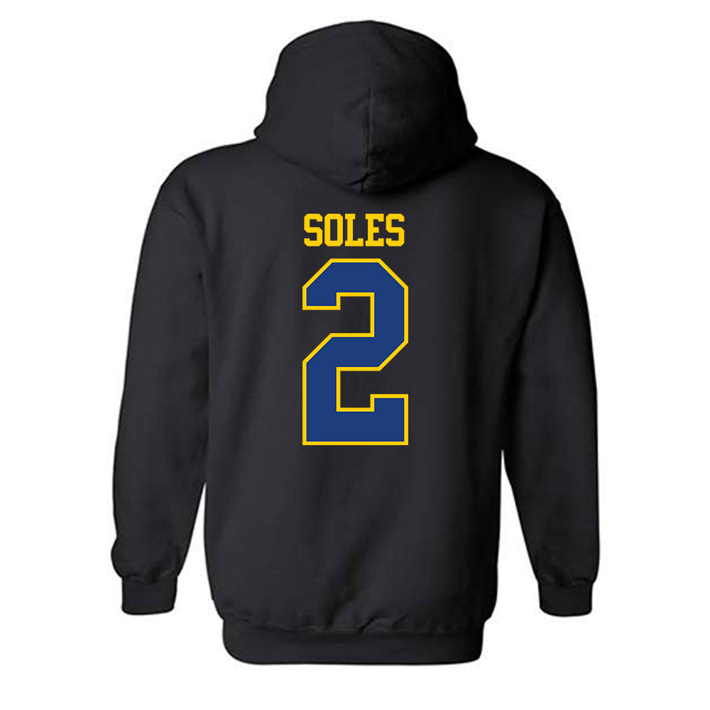 McNeese State - NCAA Women's Volleyball : Harmony Soles - Classic Shersey Hooded Sweatshirt-1
