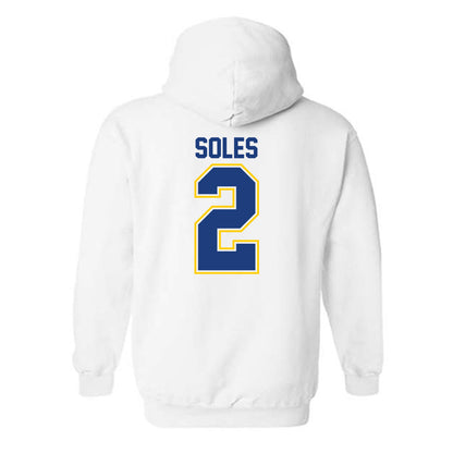 McNeese State - NCAA Women's Volleyball : Harmony Soles - Classic Shersey Hooded Sweatshirt-1
