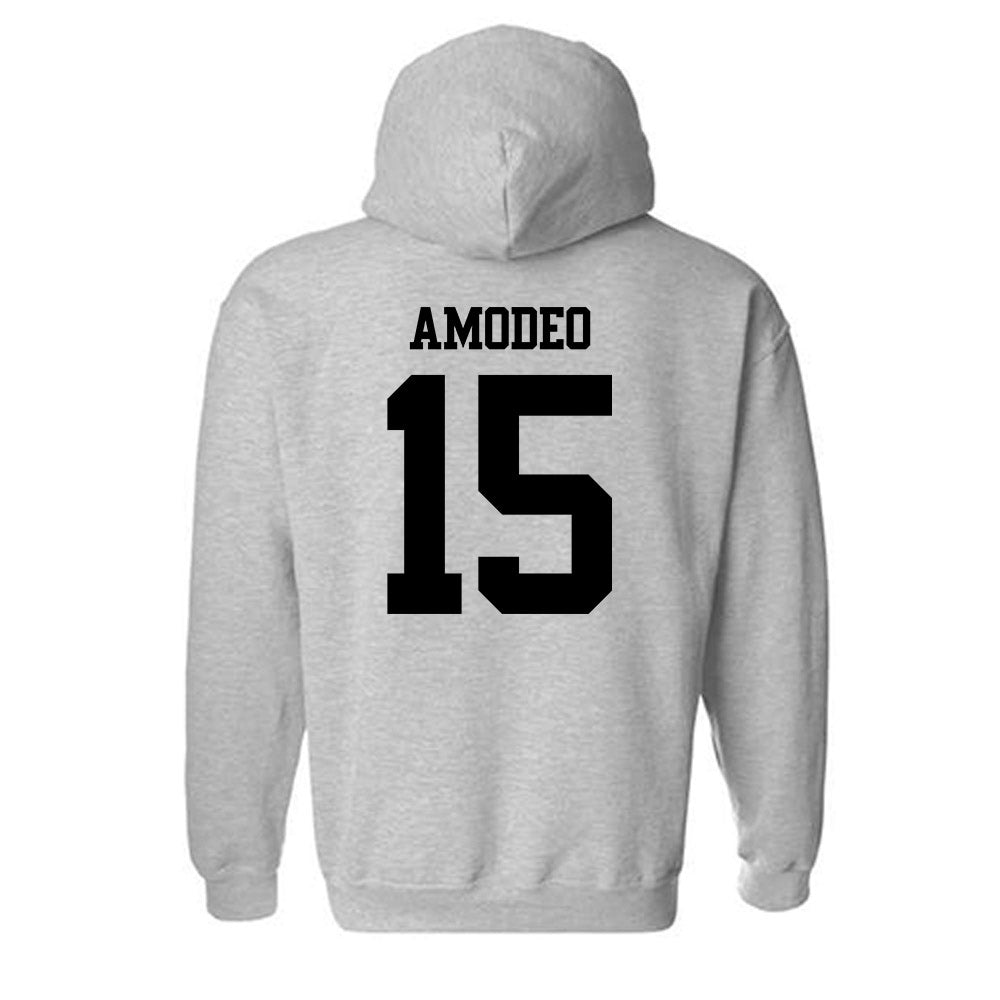 Dayton - NCAA Baseball : Nicolas Amodeo - Classic Shersey Hooded Sweatshirt-1