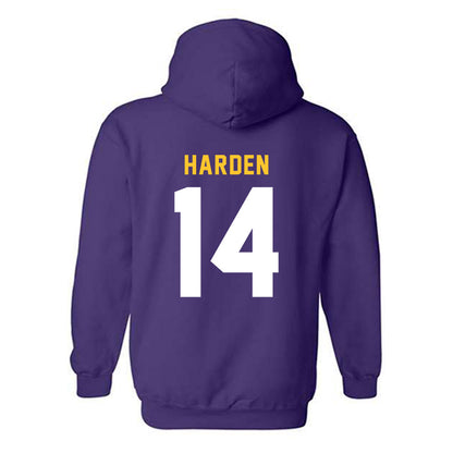 LSU - NCAA Baseball : Daniel Harden - Classic Shersey Hooded Sweatshirt-1
