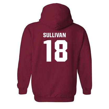 Oklahoma - NCAA Football : Cole Sullivan - Classic Shersey Hooded Sweatshirt-1