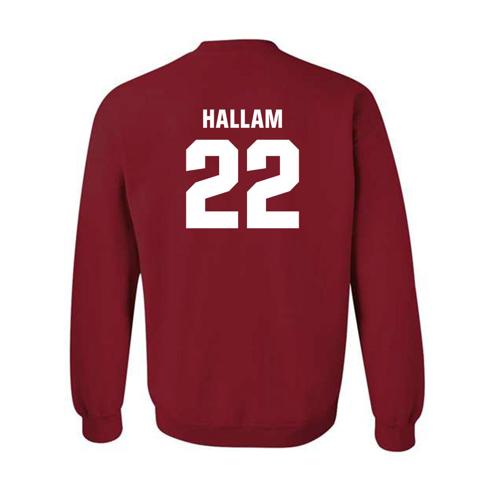 Oklahoma - NCAA Women's Soccer : Brenna Hallam - Classic Shersey Crewneck Sweatshirt-1