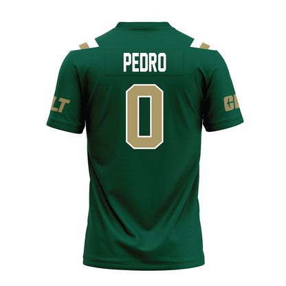 UNC Charlotte - NCAA Football : Cam Pedro - Premium Football Jersey-1