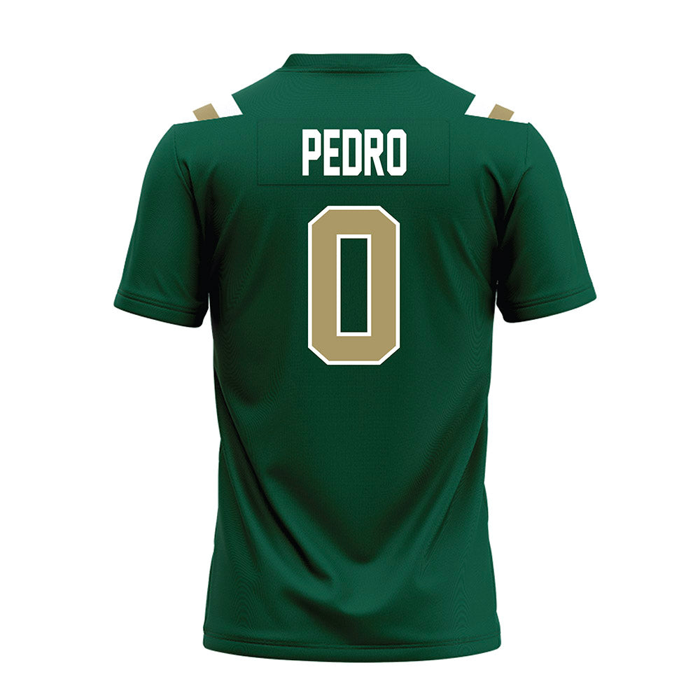 UNC Charlotte - NCAA Football : Cam Pedro - Premium Football Jersey-1