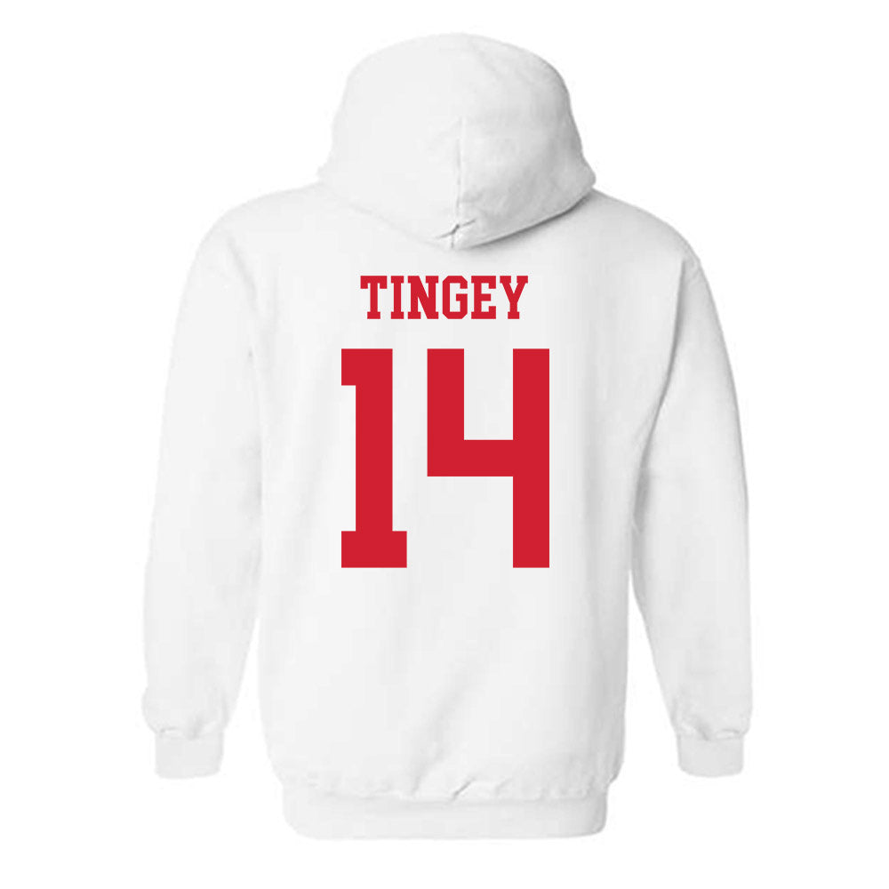 Fresno State - NCAA Softball : Ava Tingey - Hooded Sweatshirt