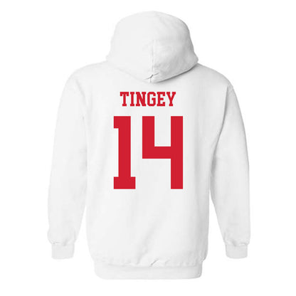 Fresno State - NCAA Softball : Ava Tingey - Hooded Sweatshirt