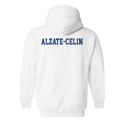 Florida - NCAA Men's Swimming & Diving : Santiago Alzate-Celin - Hooded Sweatshirt-1