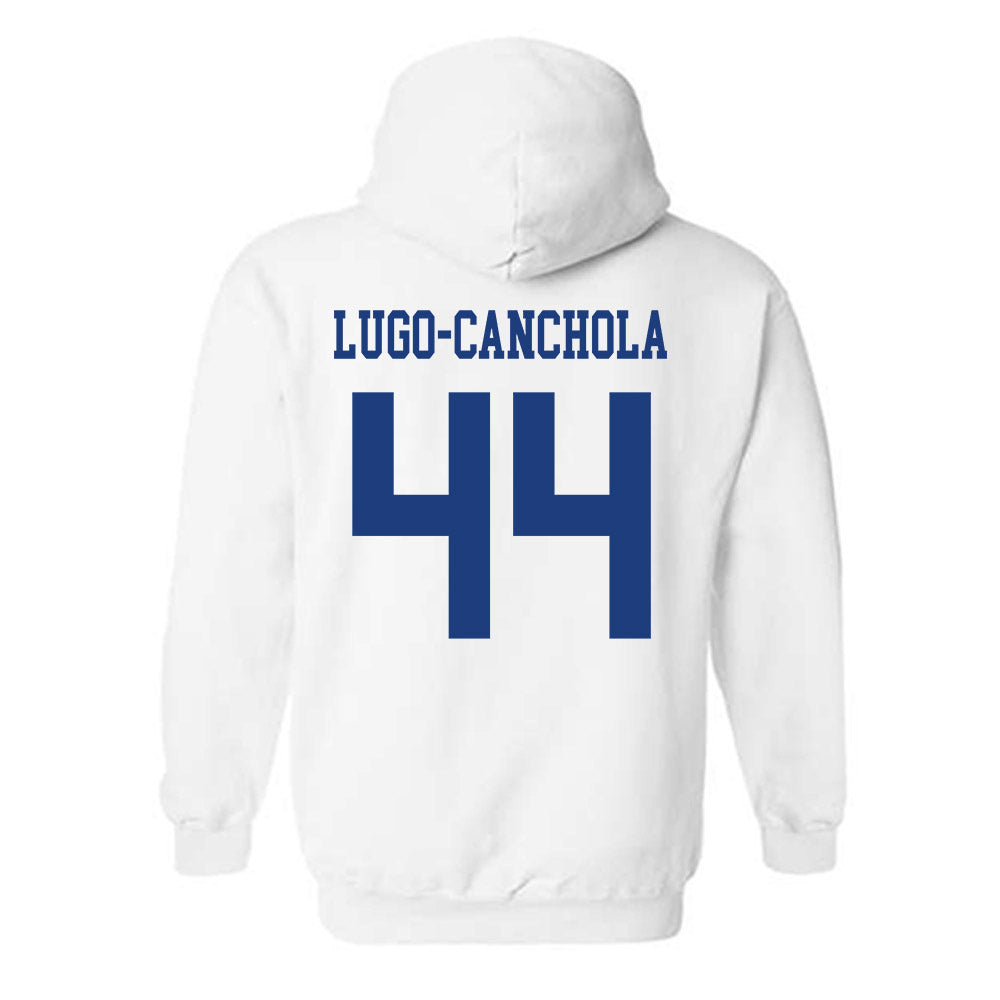 Florida - NCAA Baseball : Ernesto Lugo-Canchola - Hooded Sweatshirt-1