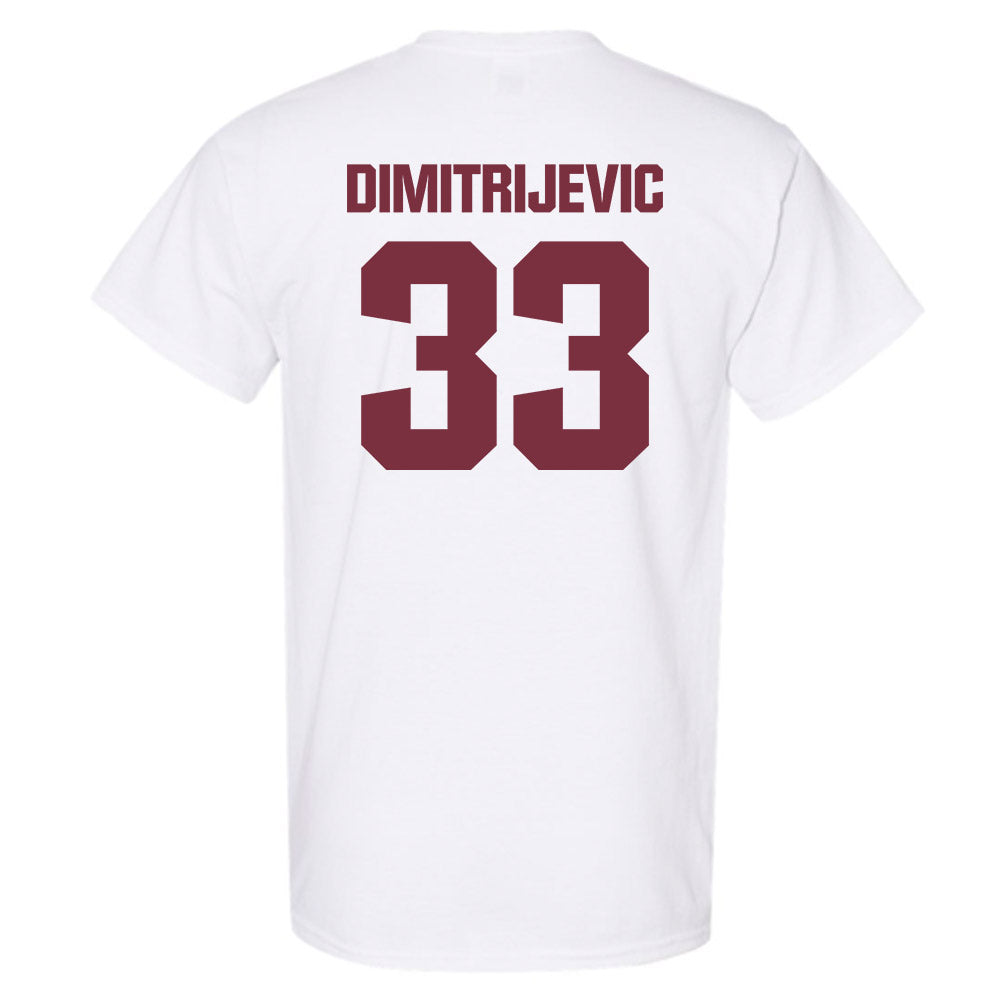 FSU - NCAA Softball : Lisabella Dimitrijevic - Generic Shersey T-Shirt-1