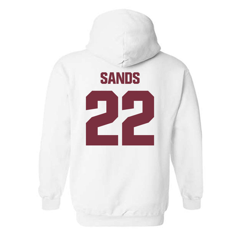 FSU - NCAA Football : Gemari Sands - Generic Shersey Hooded Sweatshirt-1
