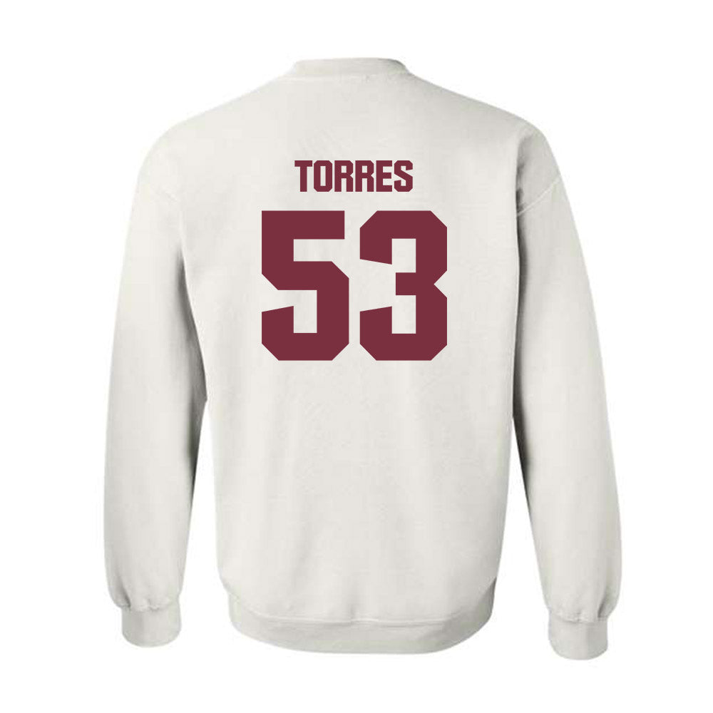 FSU - NCAA Football : Brandon Torres - Generic Shersey Crewneck Sweatshirt-1