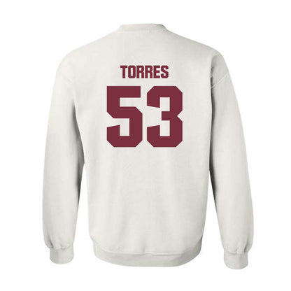 FSU - NCAA Football : Brandon Torres - Generic Shersey Crewneck Sweatshirt-1