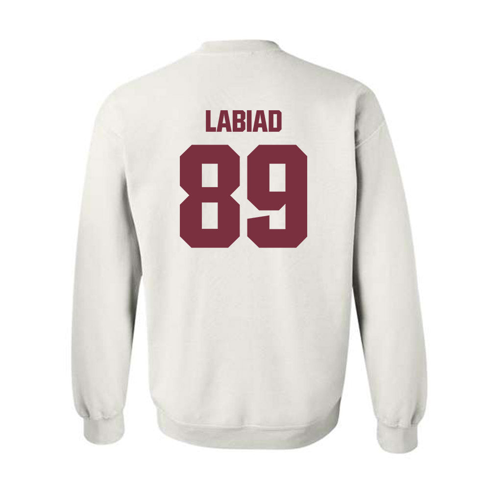 FSU - NCAA Football : Greyson Labiad - Generic Shersey Crewneck Sweatshirt-1