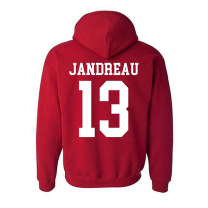 Oklahoma - NCAA Football : Niko Jandreau - Classic Shersey Hooded Sweatshirt-1