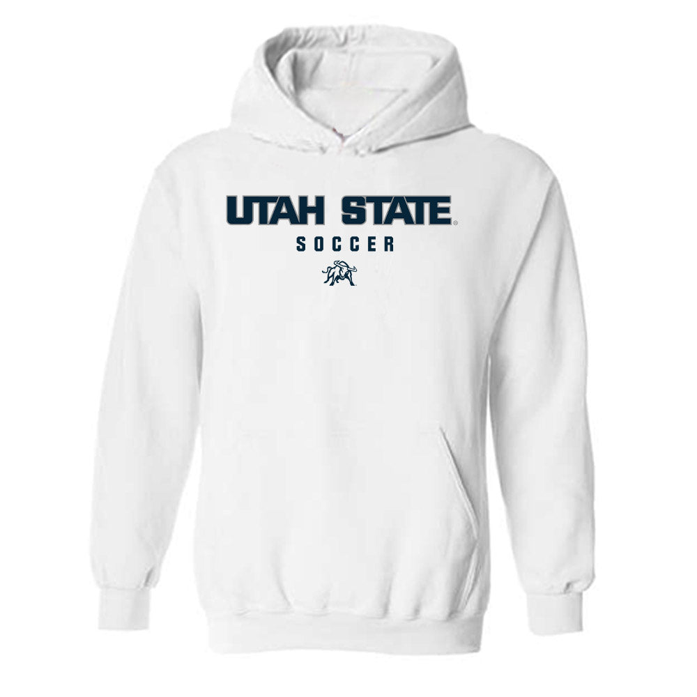 Utah State - NCAA Women's Soccer : Summer Diamond - Classic Shersey Hooded Sweatshirt-0