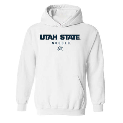 Utah State - NCAA Women's Soccer : Summer Diamond - Classic Shersey Hooded Sweatshirt-0