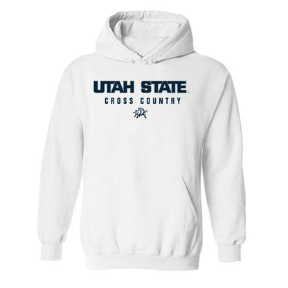 Utah State - NCAA Women's Cross Country : Brianne Smith - Classic Shersey Hooded Sweatshirt
