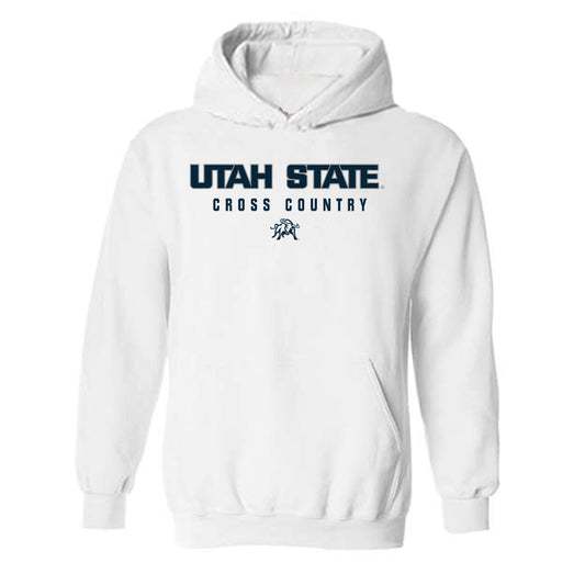 Utah State - NCAA Women's Cross Country : Brianne Smith - Classic Shersey Hooded Sweatshirt