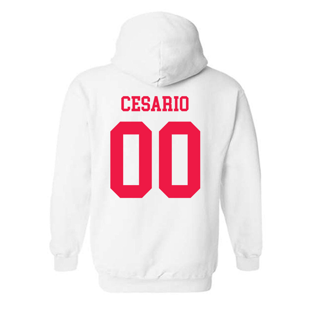 Lamar - NCAA Softball : Bri Cesario - Classic Shersey Hooded Sweatshirt-1
