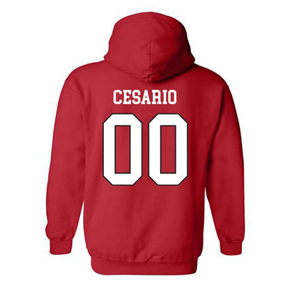 Lamar - NCAA Softball : Bri Cesario - Classic Shersey Hooded Sweatshirt-1