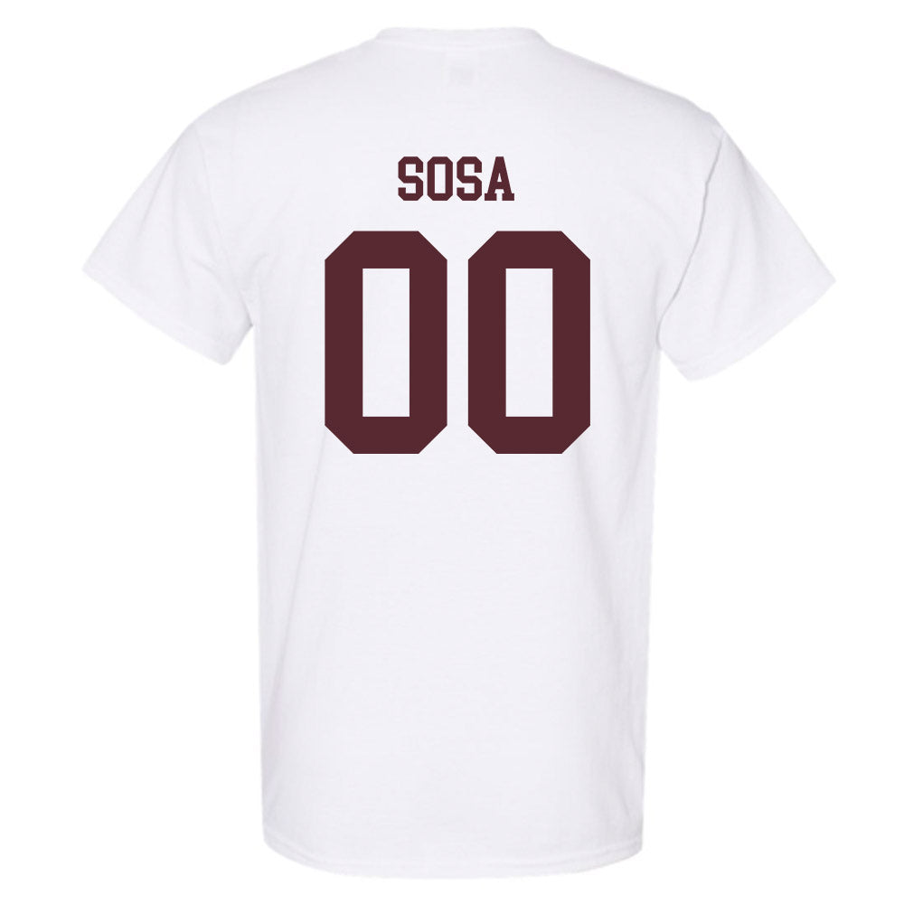 Loyola - NCAA Men's Volleyball : Aleksandar Sosa - Classic Shersey T-Shirt-1