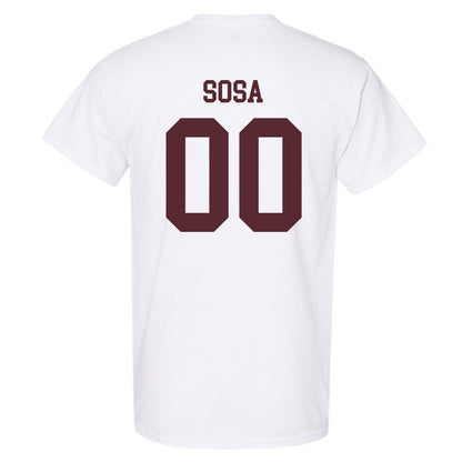 Loyola - NCAA Men's Volleyball : Aleksandar Sosa - Classic Shersey T-Shirt-1