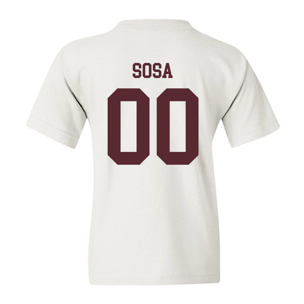 Loyola - NCAA Men's Volleyball : Aleksandar Sosa - Classic Shersey Youth T-Shirt-1