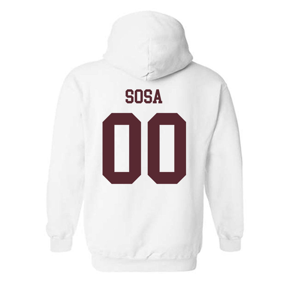 Loyola - NCAA Men's Volleyball : Aleksandar Sosa - Classic Shersey Hooded Sweatshirt-1