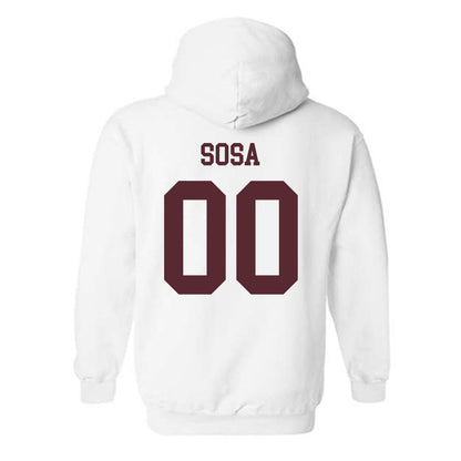 Loyola - NCAA Men's Volleyball : Aleksandar Sosa - Classic Shersey Hooded Sweatshirt-1
