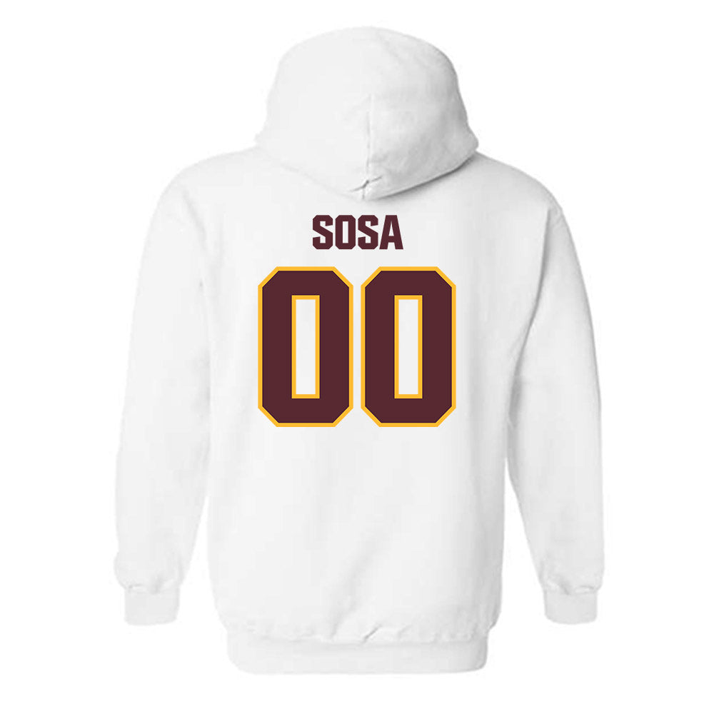 Loyola - NCAA Men's Volleyball : Aleksandar Sosa - Classic Shersey Hooded Sweatshirt-1