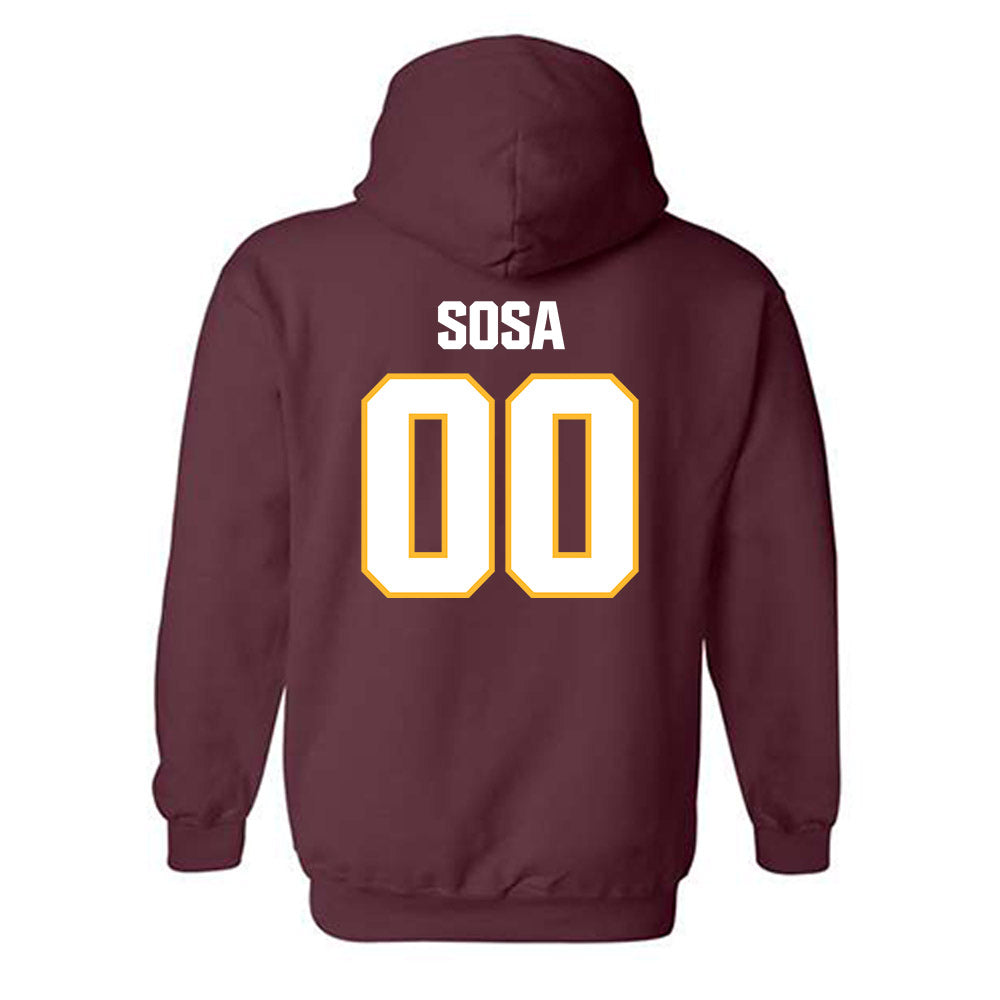 Loyola - NCAA Men's Volleyball : Aleksandar Sosa - Classic Shersey Hooded Sweatshirt-1