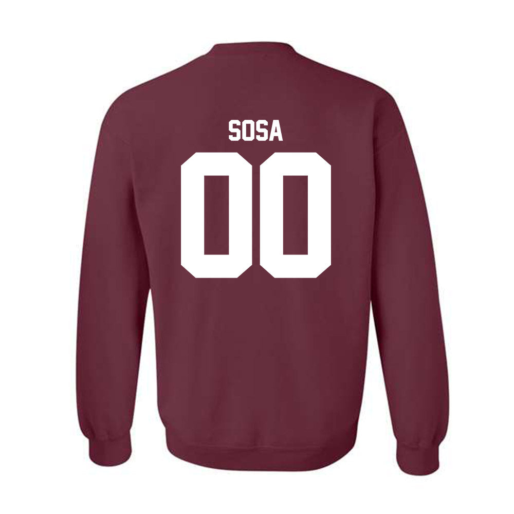 Loyola - NCAA Men's Volleyball : Aleksandar Sosa - Classic Shersey Crewneck Sweatshirt-1