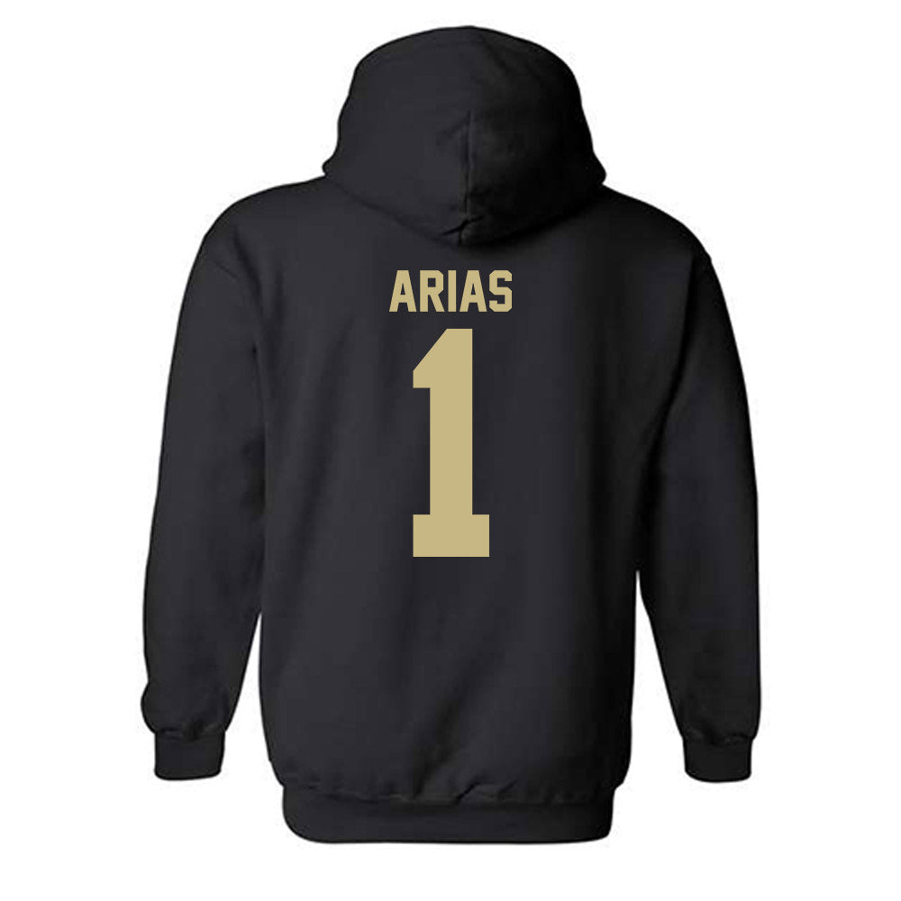Jacksonville - NCAA Men's Basketball : Chris Arias - Classic Shersey Hooded Sweatshirt-1