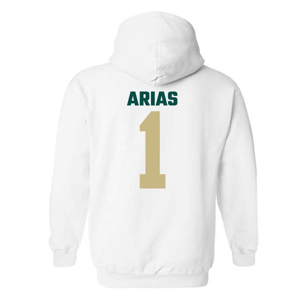 Jacksonville - NCAA Men's Basketball : Chris Arias - Classic Shersey Hooded Sweatshirt-1
