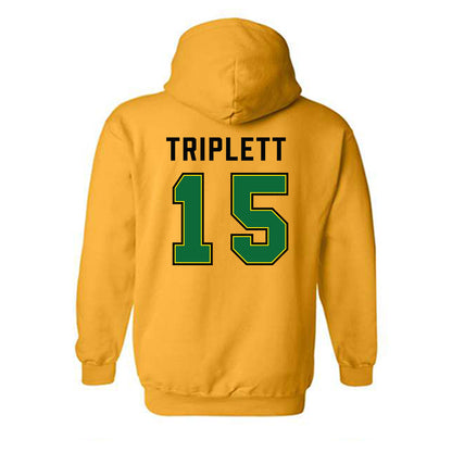 KYSU - NCAA Women's Basketball : Alycia Triplett - Classic Shersey Hooded Sweatshirt-1