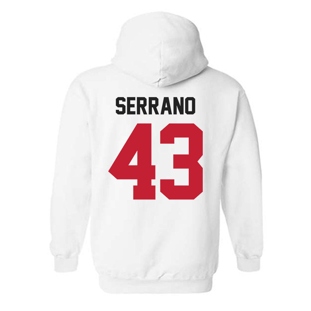 Ohio State - NCAA Baseball : Martin Serrano - Classic Shersey Hooded Sweatshirt-1