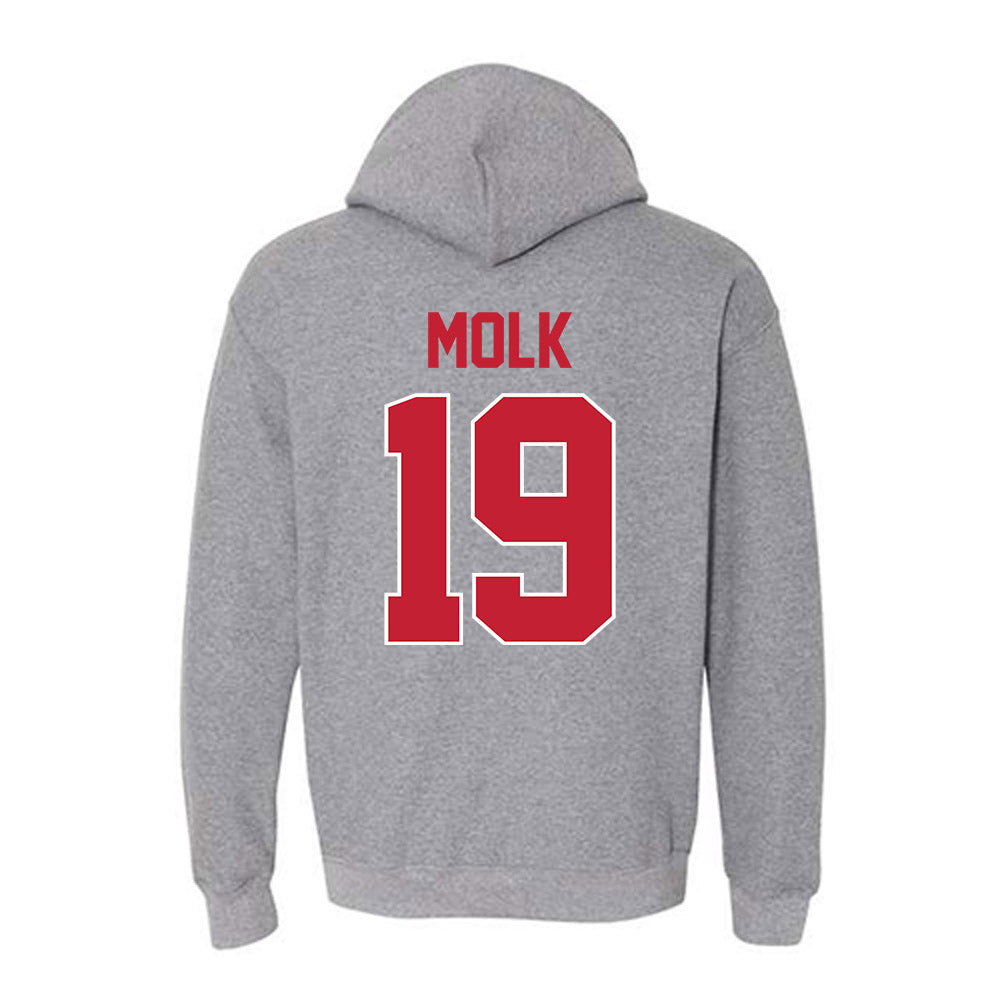 Ohio State - NCAA Softball : Jenna Molk - Classic Shersey Hooded Sweatshirt-1