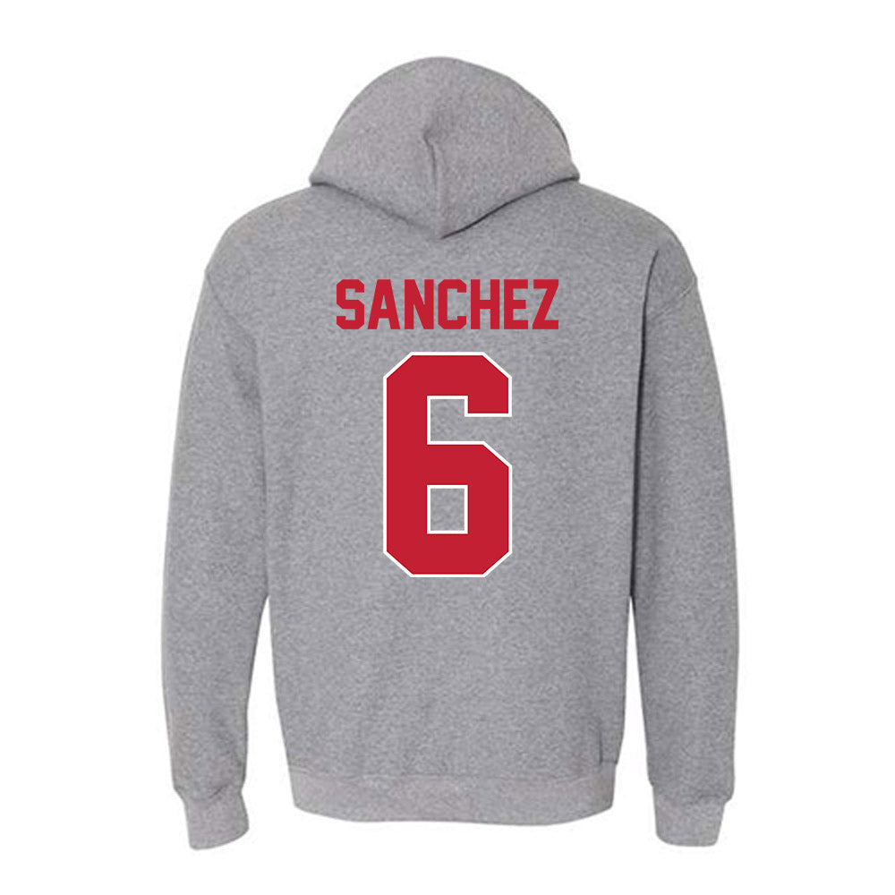 Ohio State - NCAA Football : Devin Sanchez - Classic Shersey Hooded Sweatshirt-1