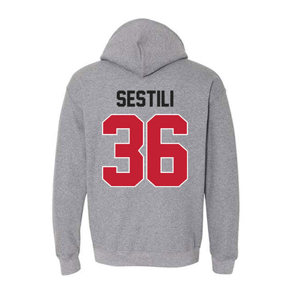 Ohio State - NCAA Men's Lacrosse : Brady Sestili - Classic Shersey Hooded Sweatshirt-1