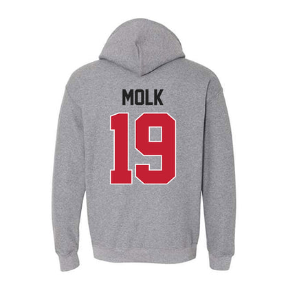 Ohio State - NCAA Softball : Jenna Molk - Classic Shersey Hooded Sweatshirt-1