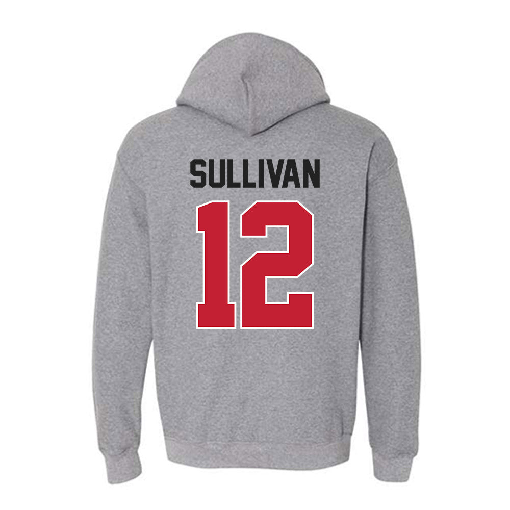 Ohio State - NCAA Men's Soccer : Ryan Sullivan - Classic Shersey Hooded Sweatshirt-1