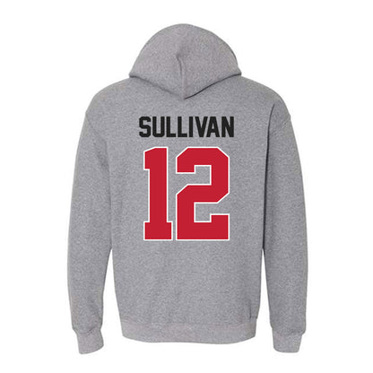 Ohio State - NCAA Men's Soccer : Ryan Sullivan - Classic Shersey Hooded Sweatshirt-1