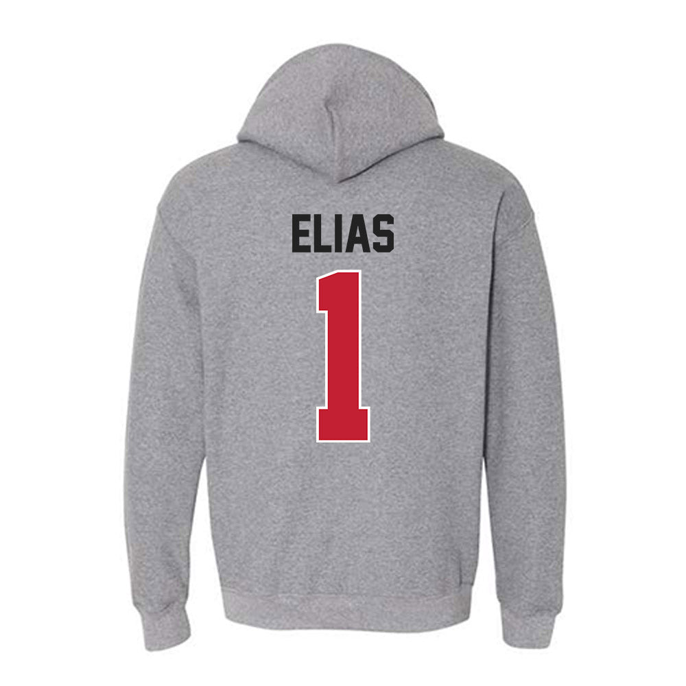 Ohio State - NCAA Women's Field Hockey : Briella Elias - Classic Shersey Hooded Sweatshirt-1