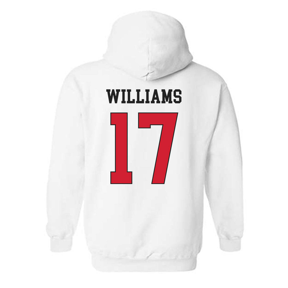 Maryland - NCAA Softball : Jaylee Williams - Classic Shersey Hooded Sweatshirt-1