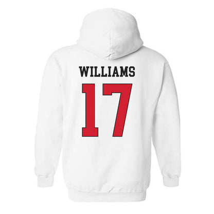 Maryland - NCAA Softball : Jaylee Williams - Classic Shersey Hooded Sweatshirt-1