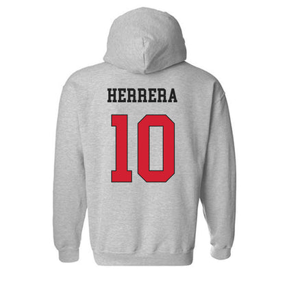 Maryland - NCAA Women's Lacrosse : Sofia Herrera - Classic Shersey Hooded Sweatshirt-1