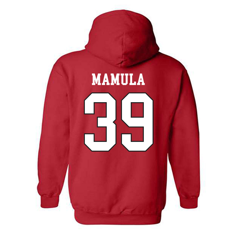 Maryland - NCAA Baseball : Peyton Mamula - Classic Shersey Hooded Sweatshirt-1
