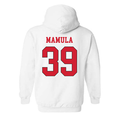 Maryland - NCAA Baseball : Peyton Mamula - Classic Shersey Hooded Sweatshirt-1